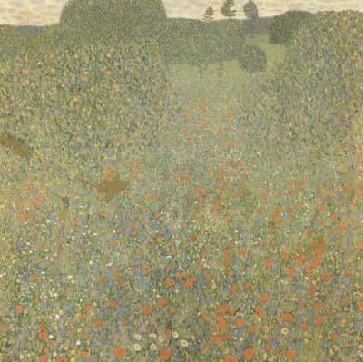 Gustav Klimt Poppy Field (mk20)
